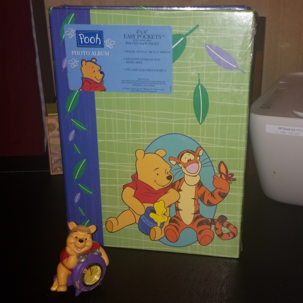 🏷️3 for $20🏷️🐻POOHBEAR PHOTO ALBUMS🐻